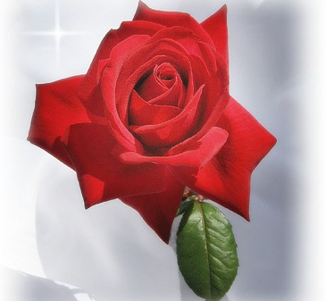 Obituary of Joan M. Smith