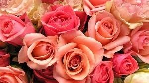 Obituary of Georgette Marie Owen