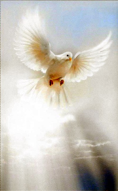 Obituary of Jeffrey Alexander Hidalgo