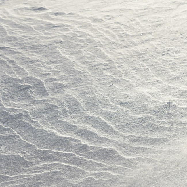 Obituary of Robert Edward Albert Waterworth