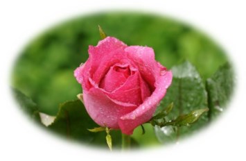 Obituary of Kelsie Lynn Mills