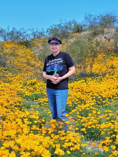 Obituary of Shari Lee McLean