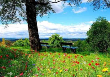 Obituary of Heather Dee Ferrell