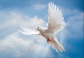 Obituary of Frank Merrifield Ferguson III