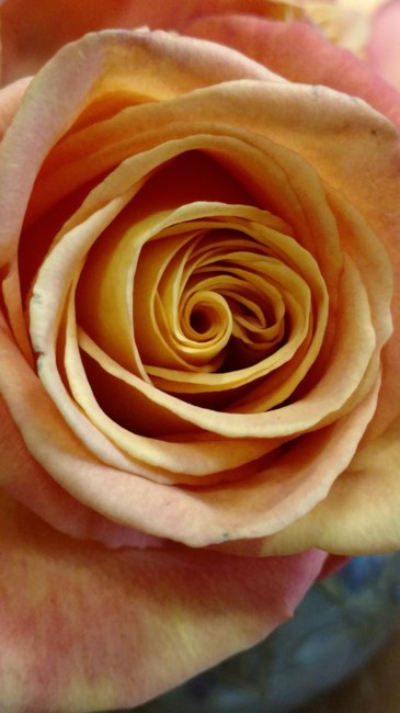 Obituary of Mary Jean Flynn