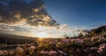 Obituary of Senada Avdic