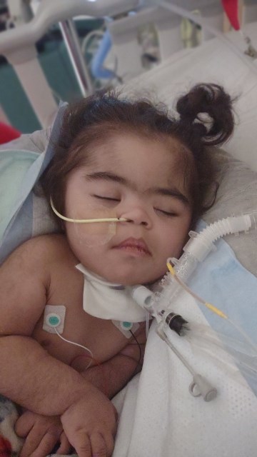 Obituary of Lucas "The Littlest Jedi" Taylor