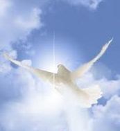 Obituary of Rosa S. Vega