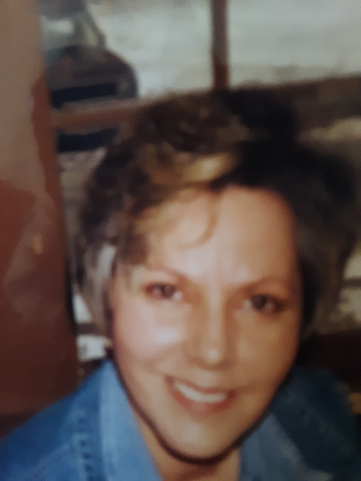 Holly Wilcox avis de décès Old Saybrook, CT