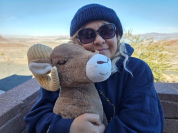 Obituary of Lee Ann Hanson