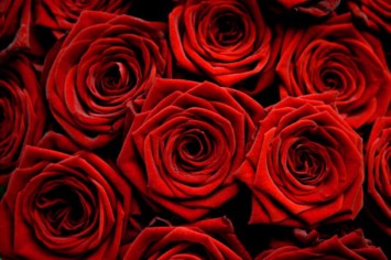 Obituary of Gerald C Toole Jr.