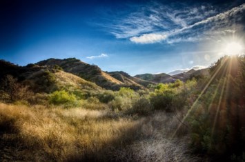 Obituary of Donald P Lake