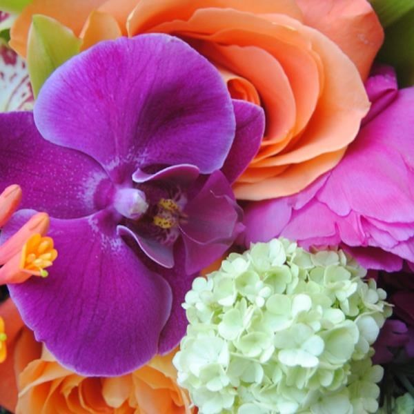 Avis de décès de Luz Cruz Elias