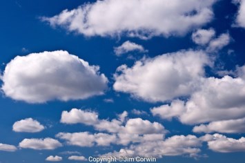 Obituary of Timothy David Miller