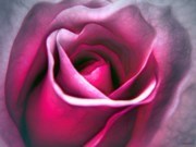 Obituary of Sylvia C Haber