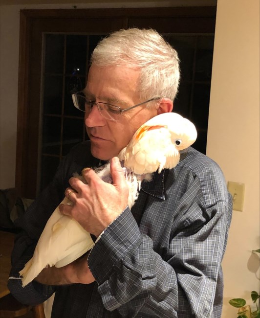 Obituary of Bradley "Brad" L. Gengenbach