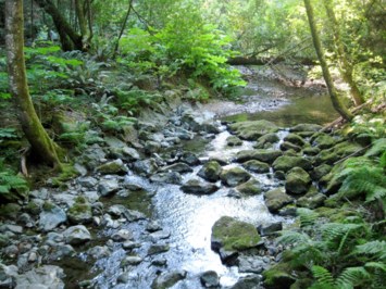 Obituary of Mr. David Allen Blackwell