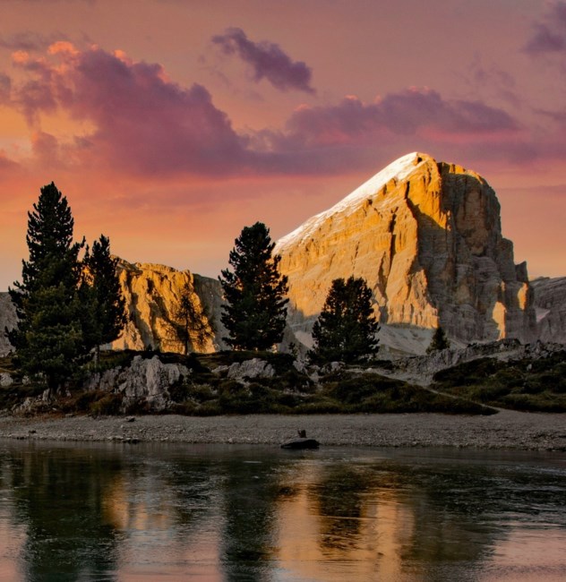 Obituary of Shin Shih