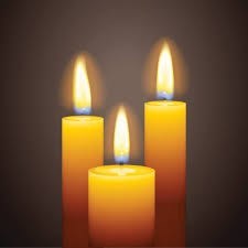 Obituary of Son T. Le