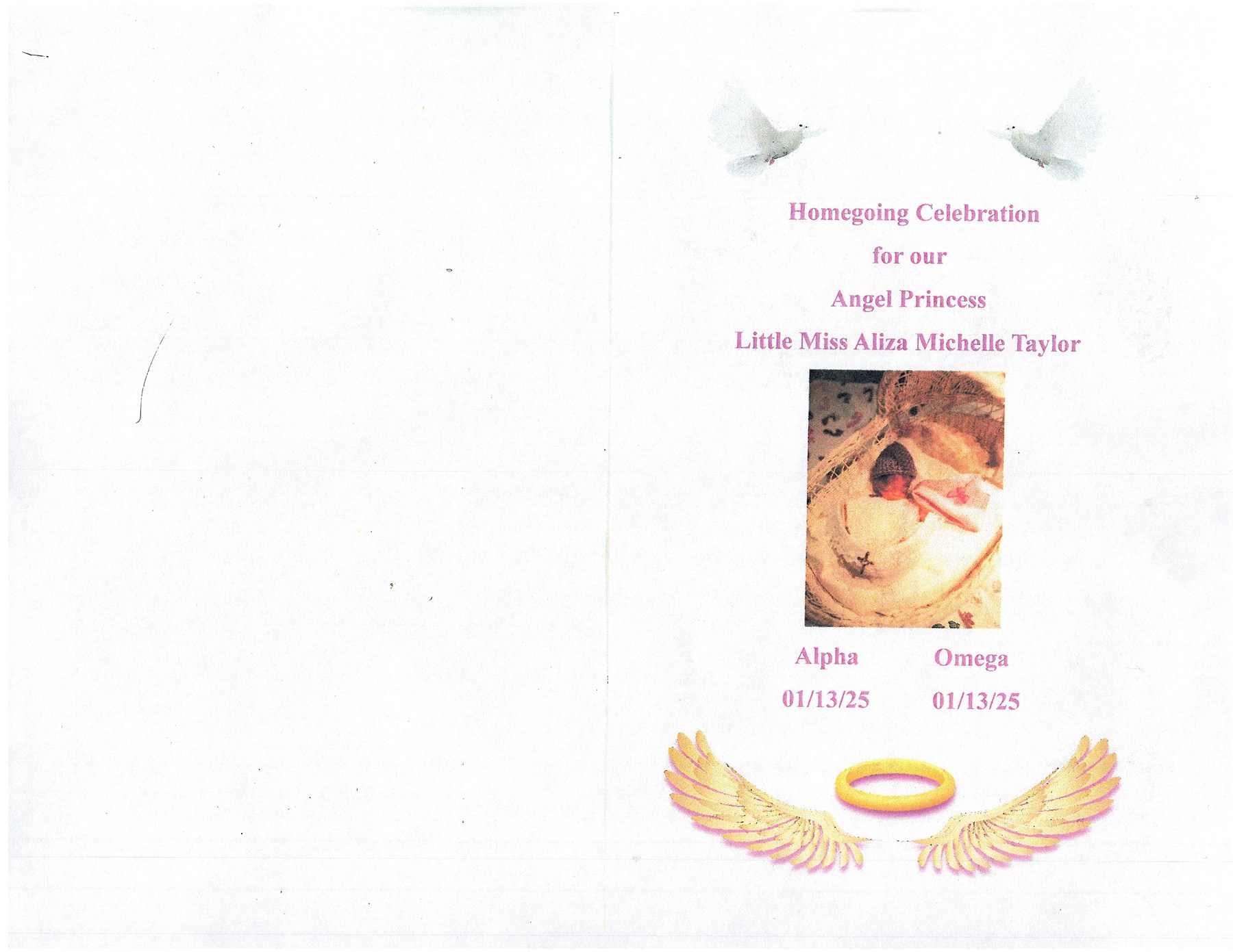 Obituary of Little Miss Aliza Taylor