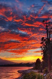 Obituary of Janice Marie Hancock