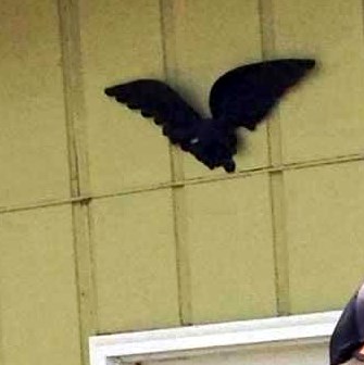 Thomas Raines Obituary - Phenix City, AL