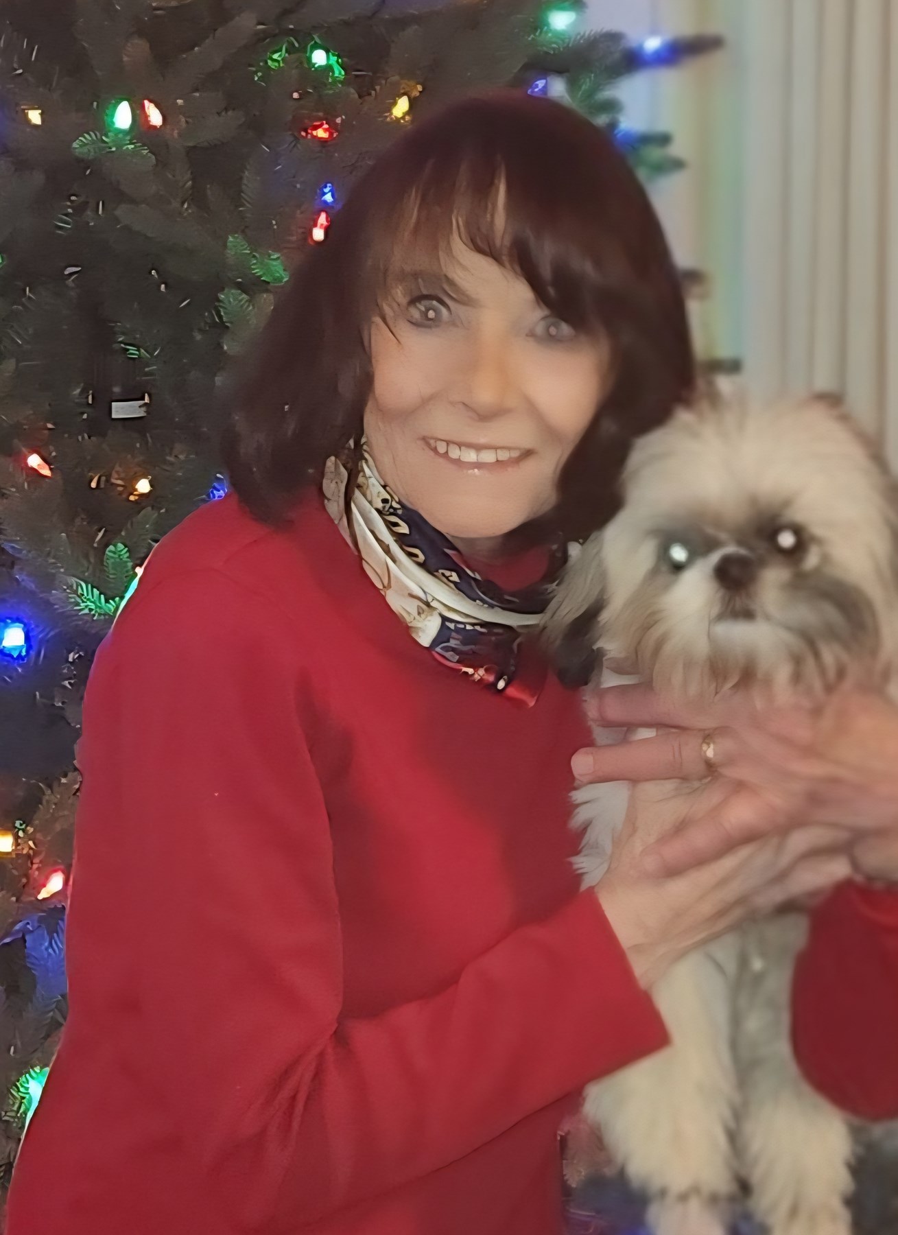 Obituary of Ann Susan Tomasin