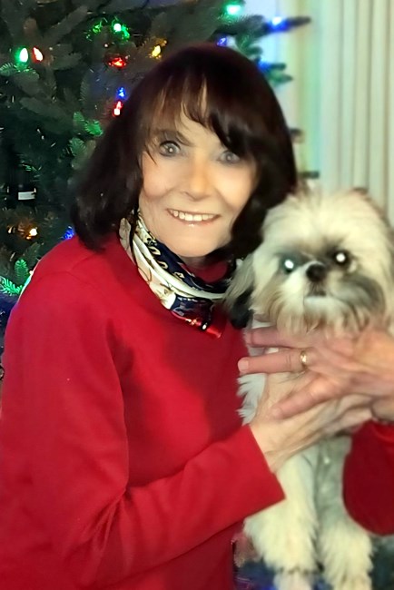 Obituary of Ann Susan Tomasin