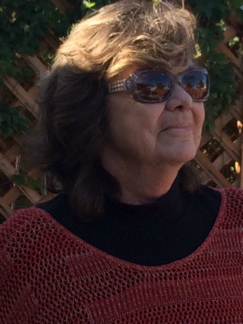 Obituary of Shirley Ann Douglass