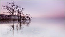 Obituary of Naomi S Hirsch