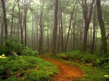 Obituary of Jane Thayer Seymour