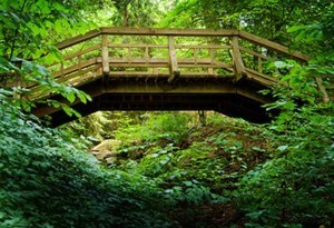 Obituary of Samuel Schmidt