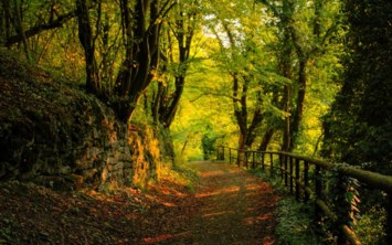 Obituary of Vincent Louise Reagan