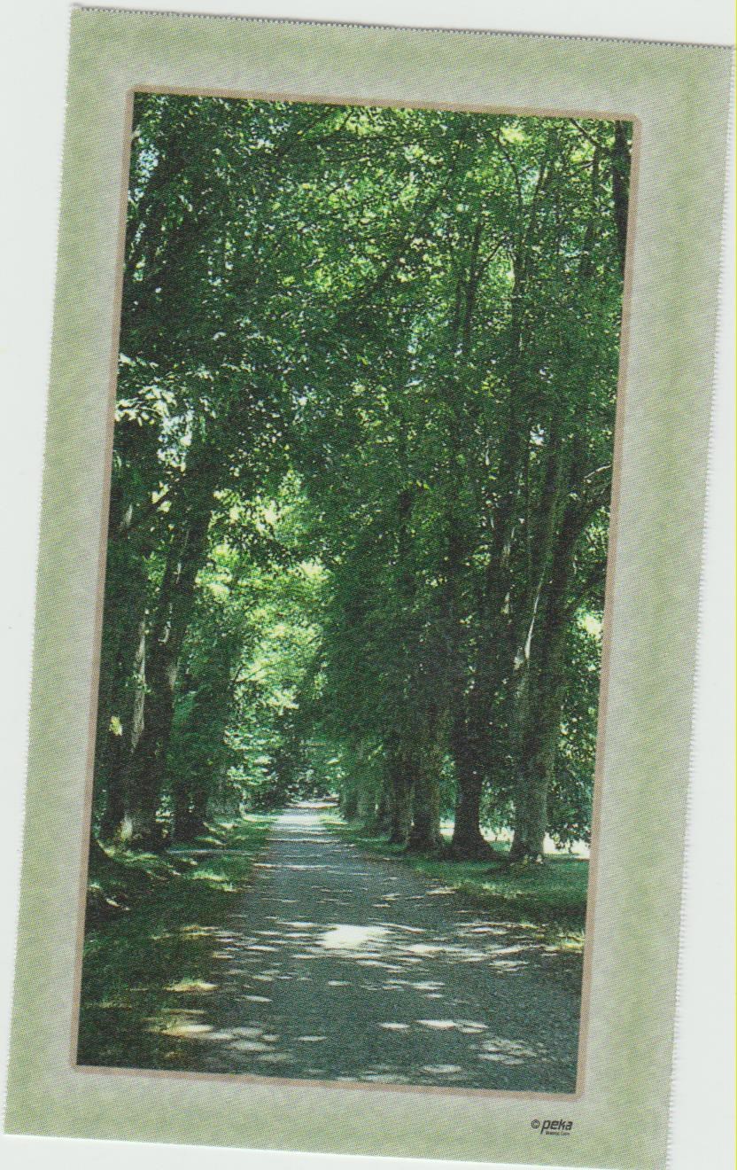 Obituary of Lawrence C McCall Sr.