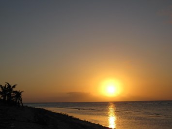 Obituary of John T. Flynn