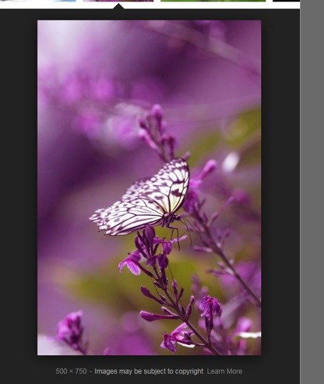 Obituary of Agnes G. Degerstedt