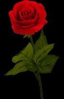 Obituary of Sharon Cannon