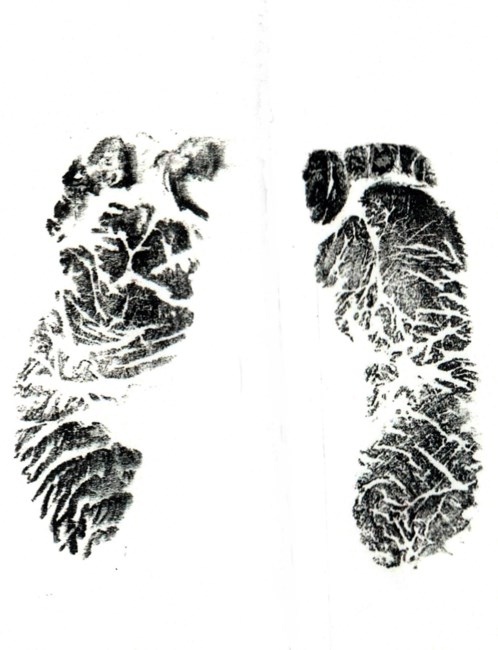 Obituary of Adelicia Marie Gonzales