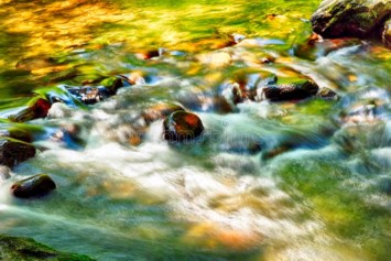 Obituary of Mr. Jack Richard McLamore