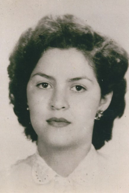 Ofelia Mcguire Obituary Garden Grove Ca Enchantimals expanded in 2021 with the following line up: dignity memorial