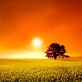 Obituary of Ethel Lewis