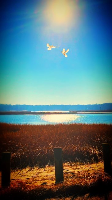 Obituary of Stephanie T. Kane