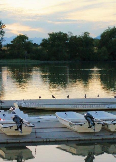 Obituary of Shun Lau