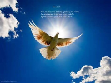 Obituary of David Wayne Ragland