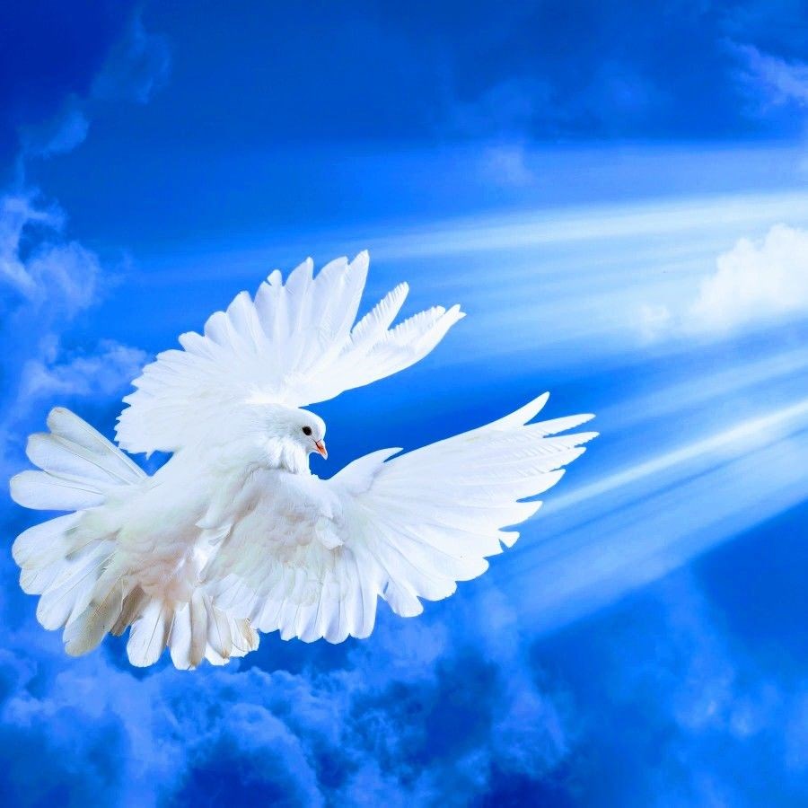 Malachi Wray Obituary Childersburg, AL