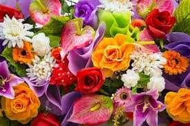 Obituary of Anna Reneea Sasano