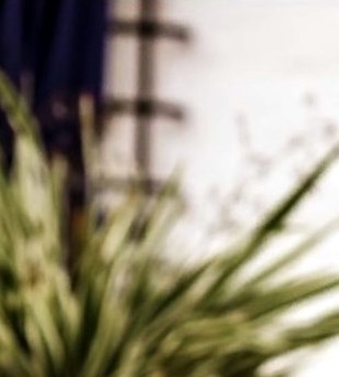 Wilbur Danny Rentz Obituario - Brunswick, GA