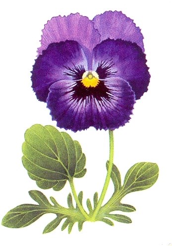 Obituary of MarJorie Young