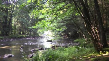 Obituary of Jose Junco