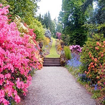 Obituary of Crystal Rose Clark